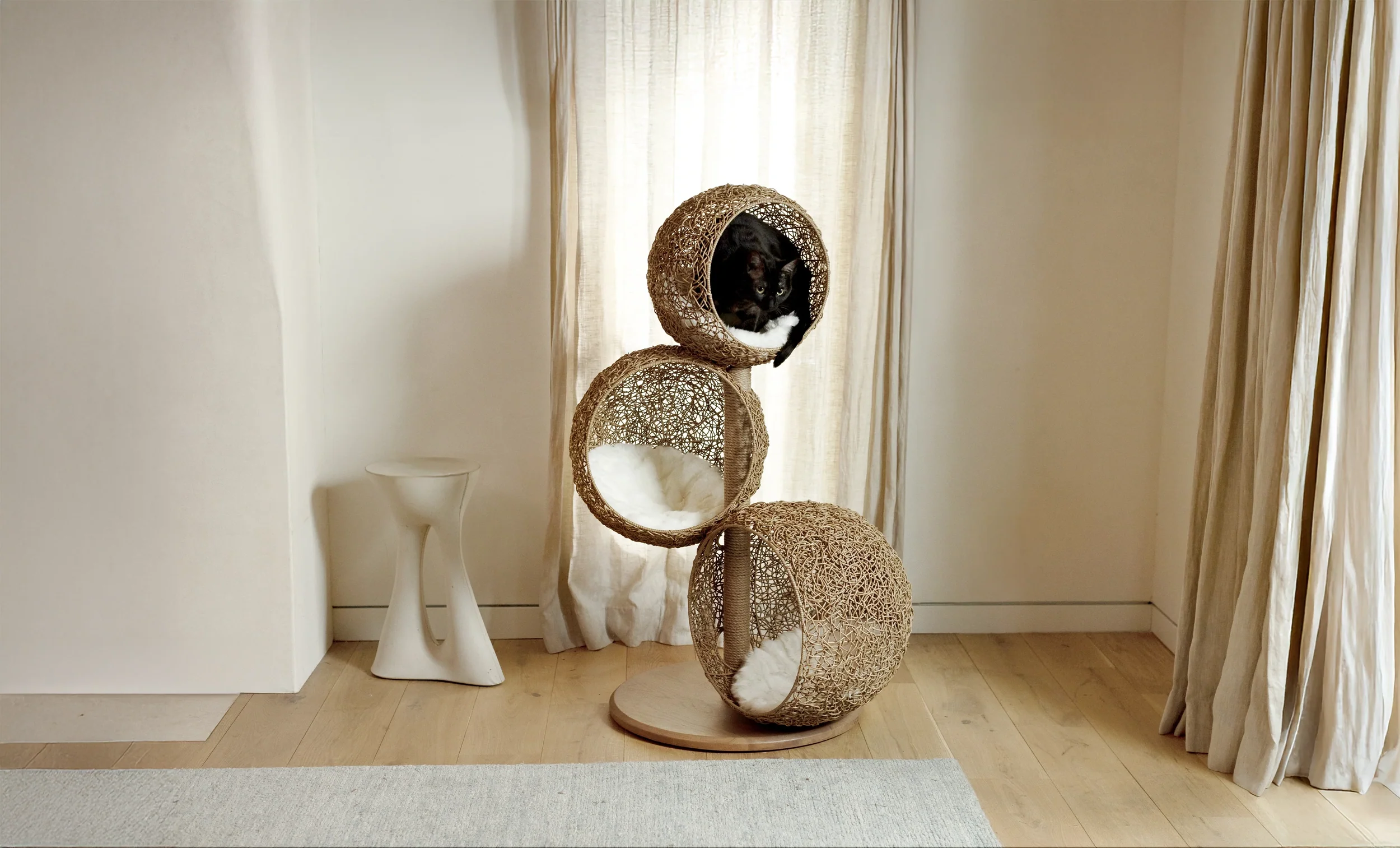 Elevated Living for Modern Cats